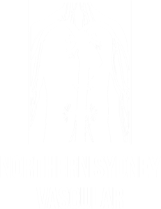 Northern Sydney Vascular